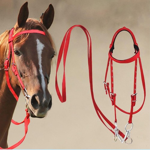 Horse bridle rein - bridle,