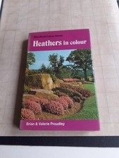Heather's In Colour, Blandford