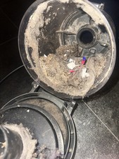 Hoover Dust, Insides Of Hoover Contents. Month Full Of Dust And Rubbish