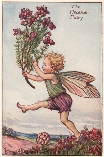 Heather fairy cicely mary - fairy,