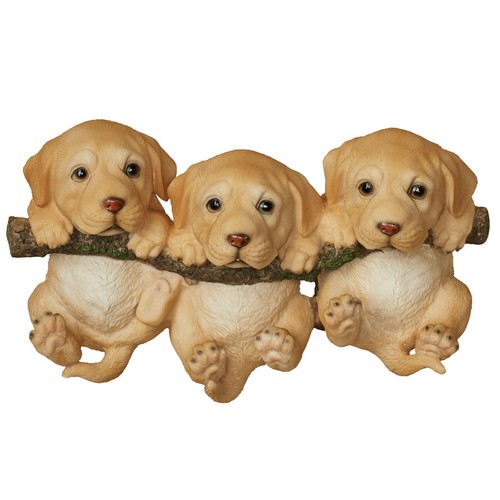Adorable trio labrador - adorable, of