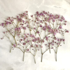 15pcs Purple Pressed Baby