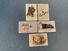 ARTIST MAC - BEAUTIFUL DOGS  COLLECTION OF VINTAGE POSTCARDS
