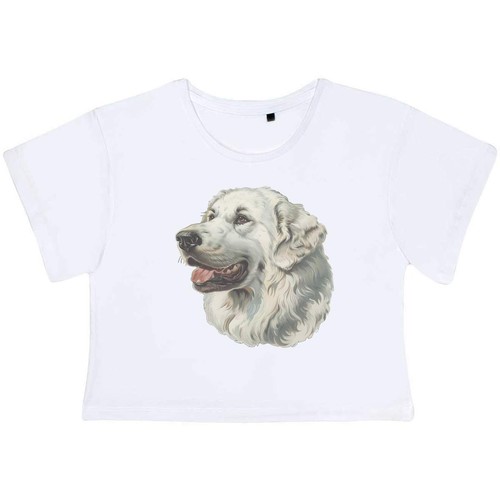 Pyrenean mountain dog - mountain, dog'