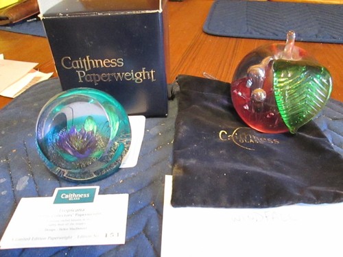 Caithness paperweights - caithness,