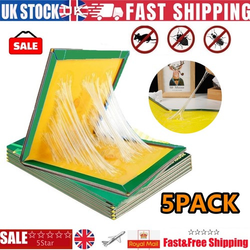 5pack mouse traps rat mice - 5pack,