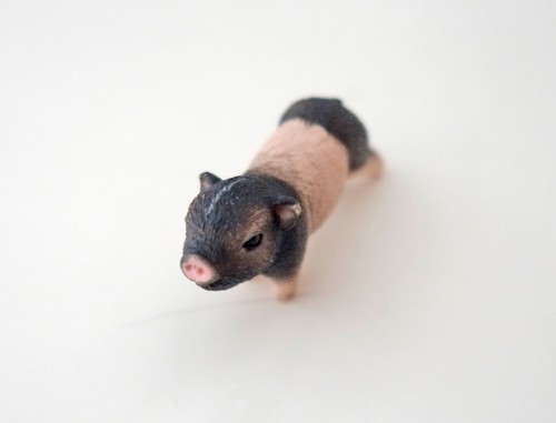 Schleich micro pig - micro, mini