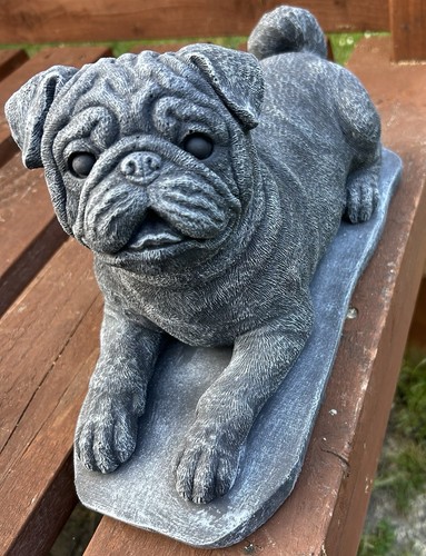 Pug concrete statue - pug,
