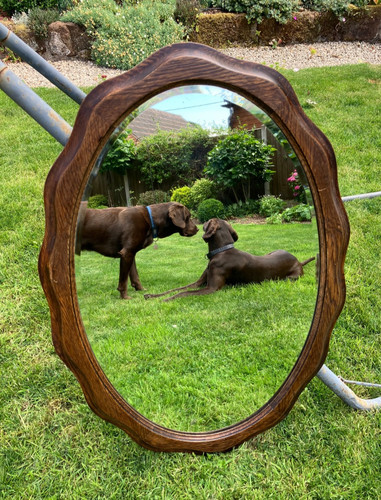 Large antique oval oak frame - large,