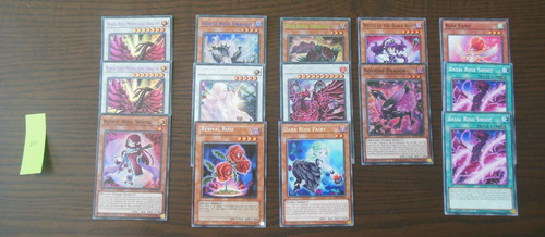 14x black rose dragon - rose,