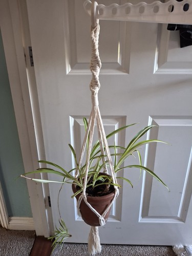 Macramé wall hanging flower - wall,