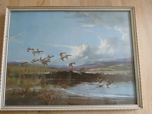 Vernon ward 1945 flying - ward, ducks