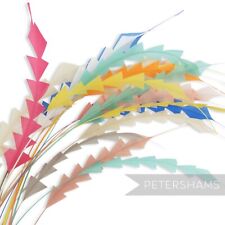 Zig Zag Coque Feather for