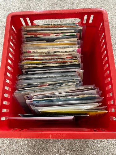 Punk rock vinyl singles - punk/rock,