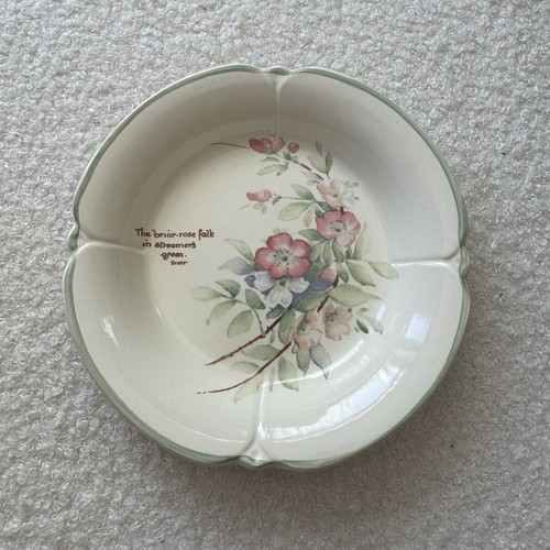 The briar rose - the, dish