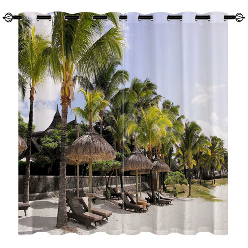 Palm tree tropical beach - palm, &