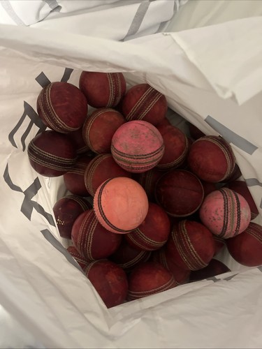 Used adult cricket - adult, balls