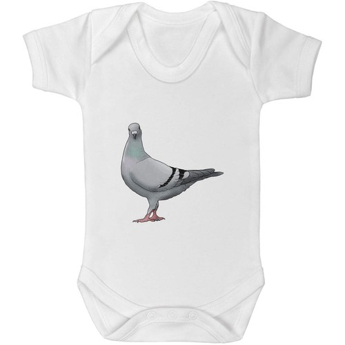Racing pigeon baby - baby, grows