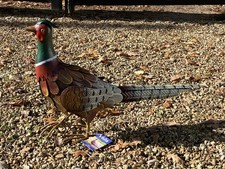 La Hacienda Pheasant Metal &