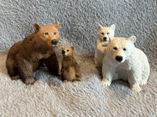 Brown Bear and Cub - Polar