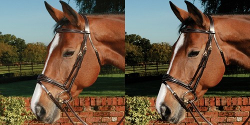 Mark todd fancy stitch english - mark,