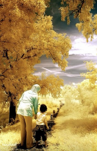 Infrared filter 600nm 58mm - infrared,