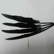 10/20Pcs Black Raven Feather