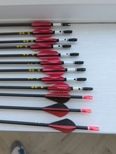 12 Easton Carbon One Arrows. 730