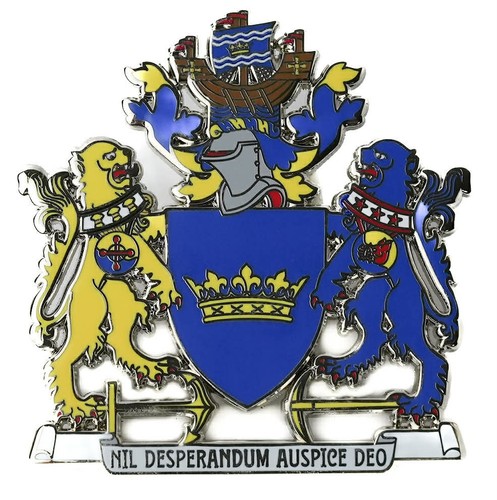 Sunderland city large pin - city,
