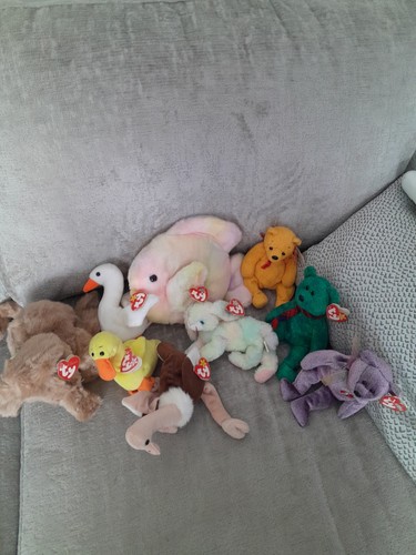 Beanie babies - ty,