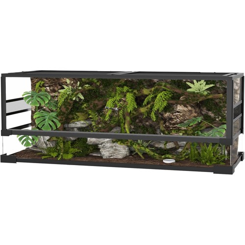 Reptile glass terrarium - reptile,