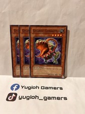 Yu-Gi-Oh Gigantic Cephalotus