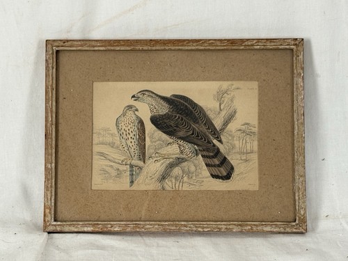 Antique 1830s jardine - antique,