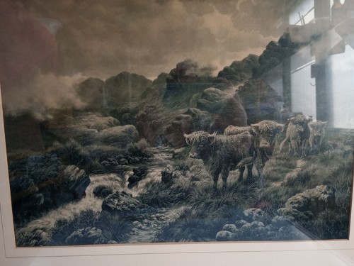 Vtg print highland cattle - vtg,