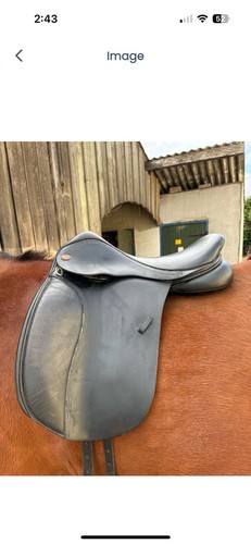 Kent and masters dressage - kent,