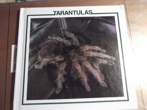 Tarantulas spider discovery - tarantulas,
