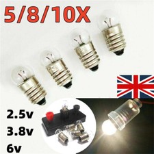 5-30Pcs Screw Base Light Bulb