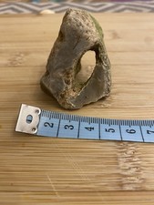 Natural Hag Stone with Large
