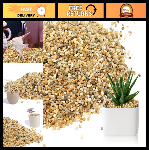 Coarse silica sand - sand, plants