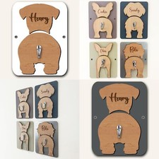 Glen Of Imaal Terriers Dog