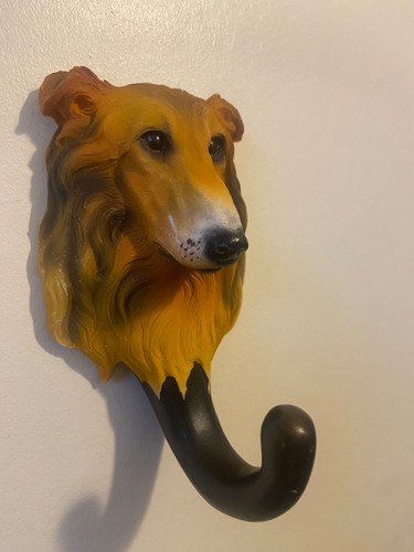 Rough collie dog - rough, lead