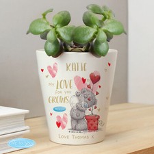 Personalised Me To You Love Grows Plant Pot | Valentine's Day, Anniversary Gift