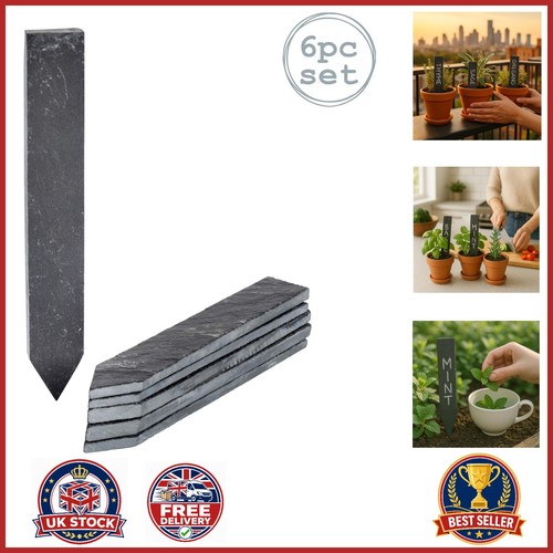 6pc natural slate plant - natural,