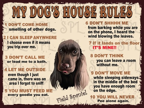 Field spaniel dog house - field,