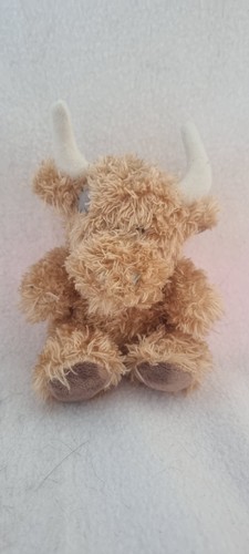 B47 blue nose highland cow - b47,