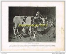LA VACHE BLESSEE, G H MOSLER, BOOK ILLUSTRATION (PRINT), c1903