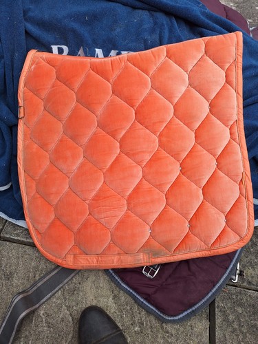 Eskadron dressage pad - dressage,