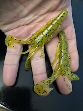 CRAWFISH 🦞 9cm, great big