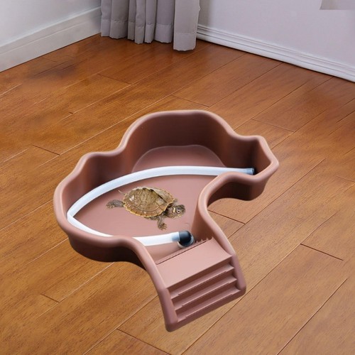 Tortoise food dish - tortoise, with