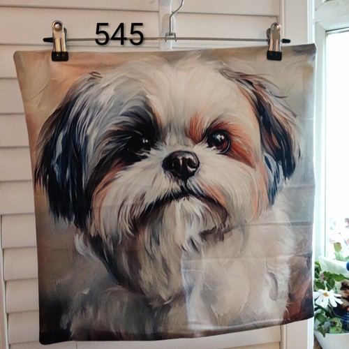 Shih tzu llasa apso - tzu/llasa, peachy